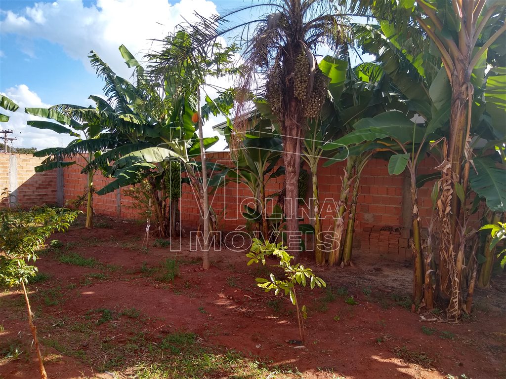 Venda de Terreno / Padrão na cidade de Araraquara