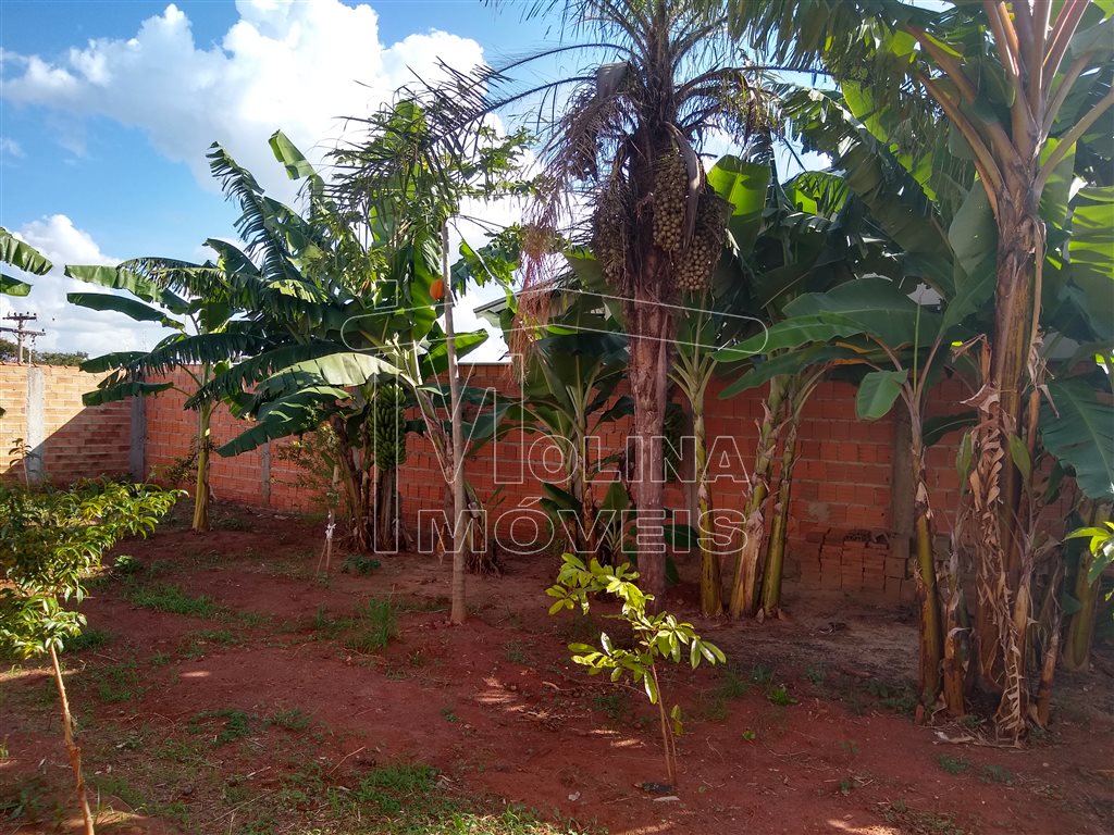 Venda de Terreno / Padrão na cidade de Araraquara