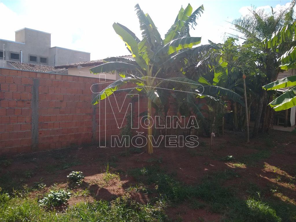 Venda de Terreno / Padrão na cidade de Araraquara