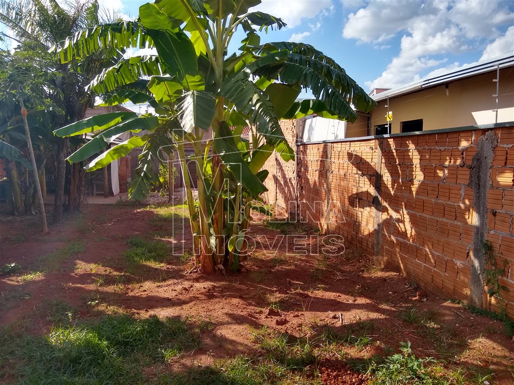 Venda de Terreno / Padrão na cidade de Araraquara