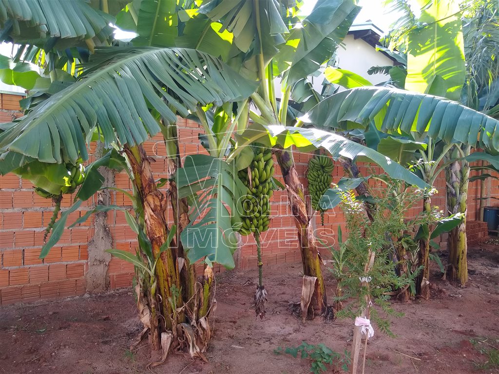 Venda de Terreno / Padrão na cidade de Araraquara