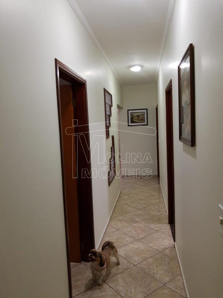 Venda de casas / padrão na cidade de araraquara