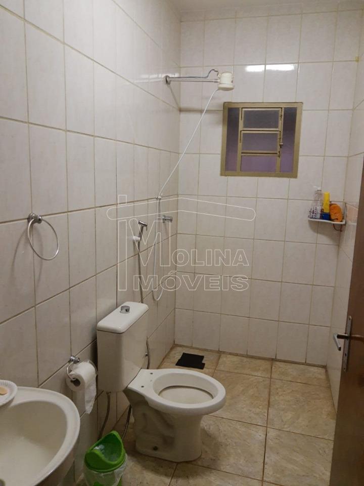 Venda de casas / padrão na cidade de araraquara