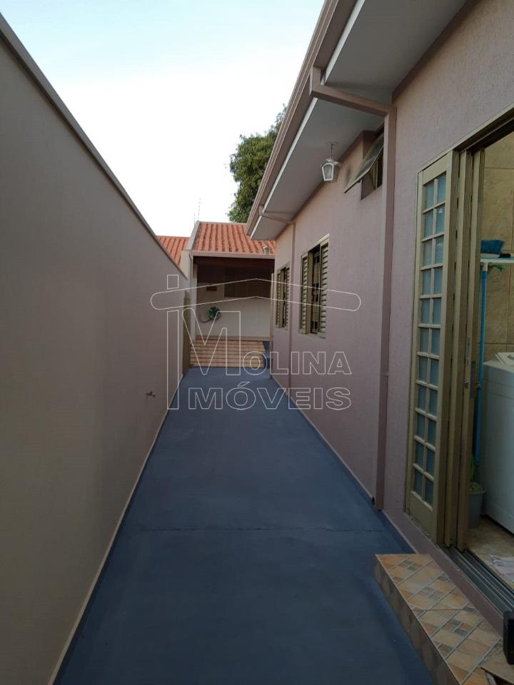Venda de casas / padrão na cidade de araraquara