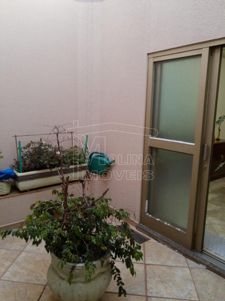 Venda de casas / padrão na cidade de araraquara