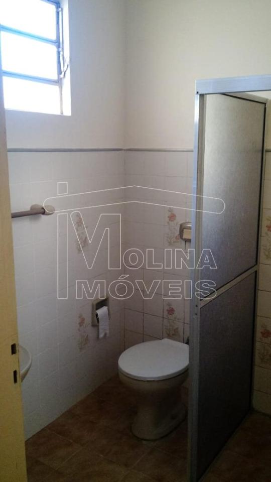Venda de casas / padrão na cidade de araraquara - foto 5