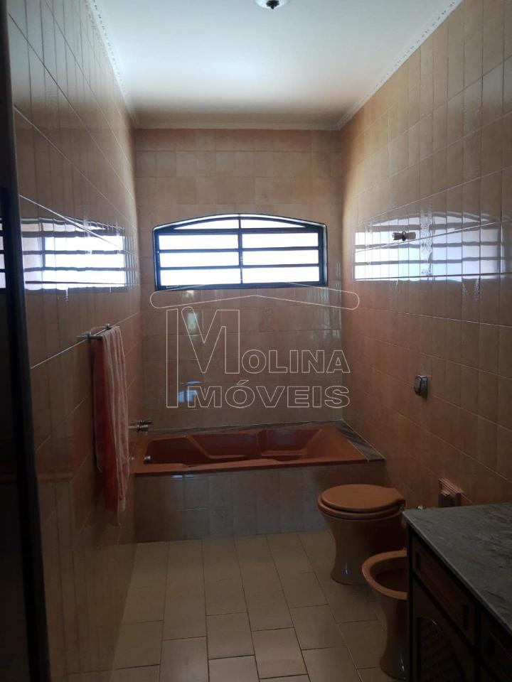 Venda de casas / padrão na cidade de araraquara