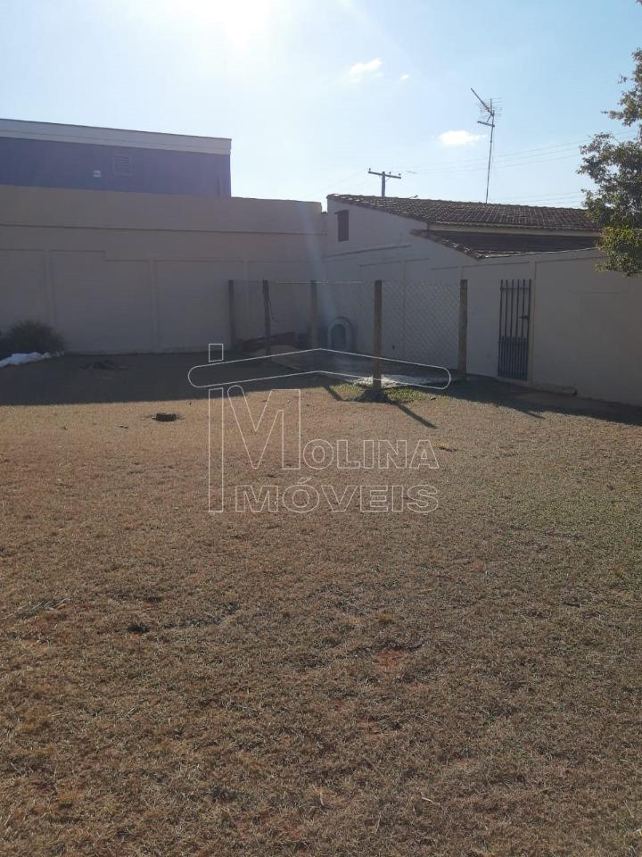 Venda de Casas / Padrão na cidade de Araraquara