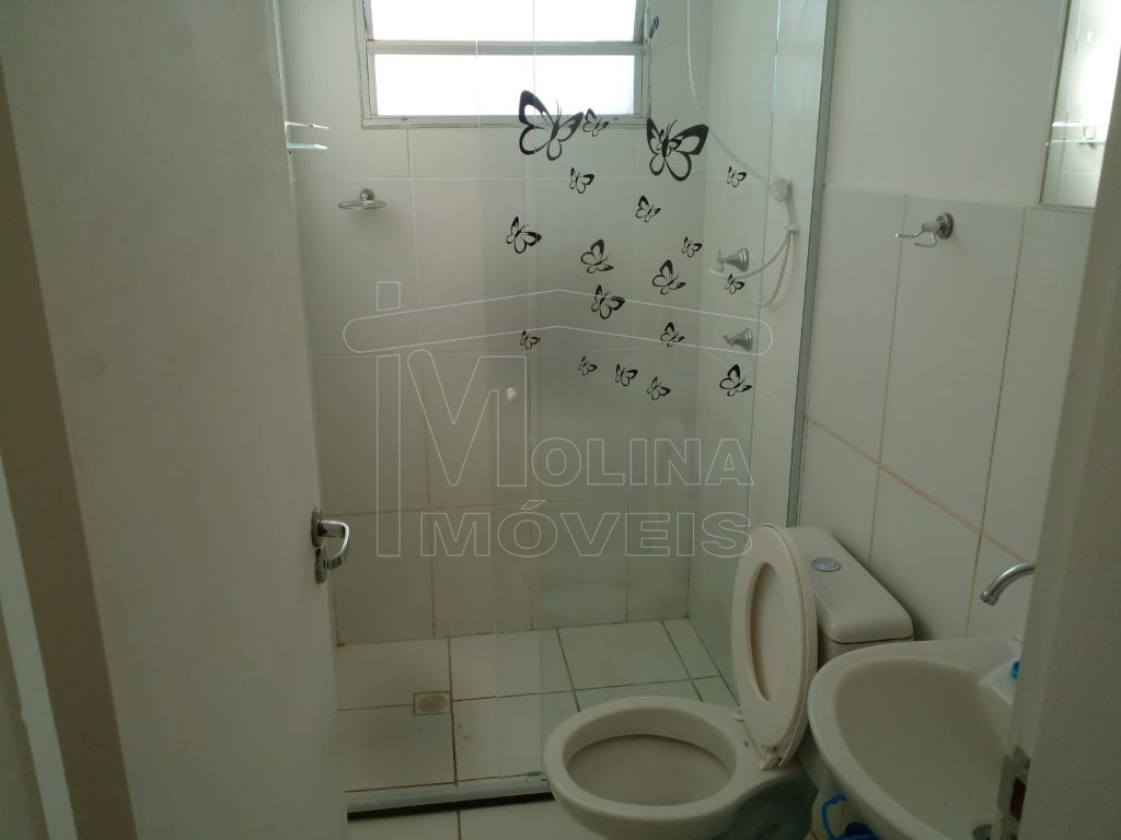 Locação de apartamentos / padrão na cidade de araraquara