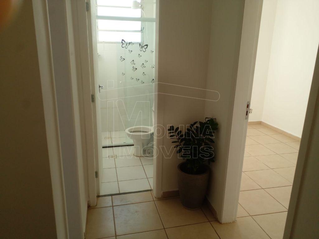 Locação de apartamentos / padrão na cidade de araraquara