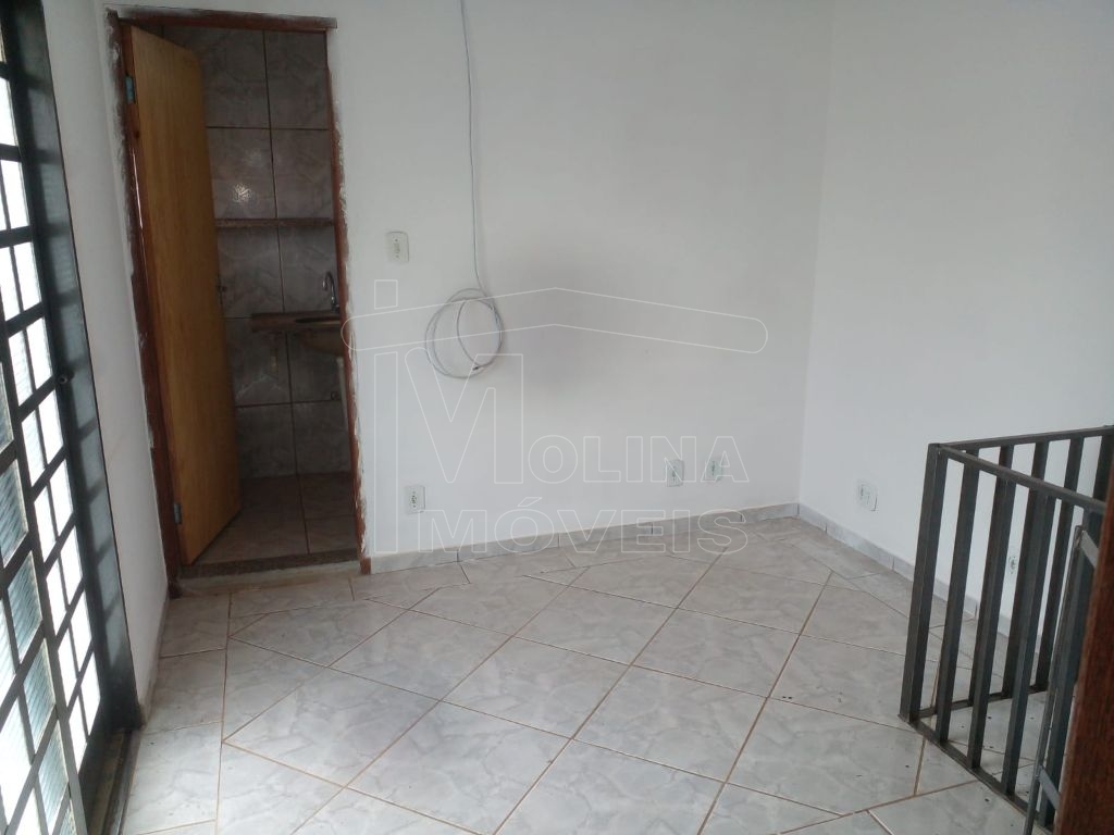 Locação de casas / edícula na cidade de araraquara