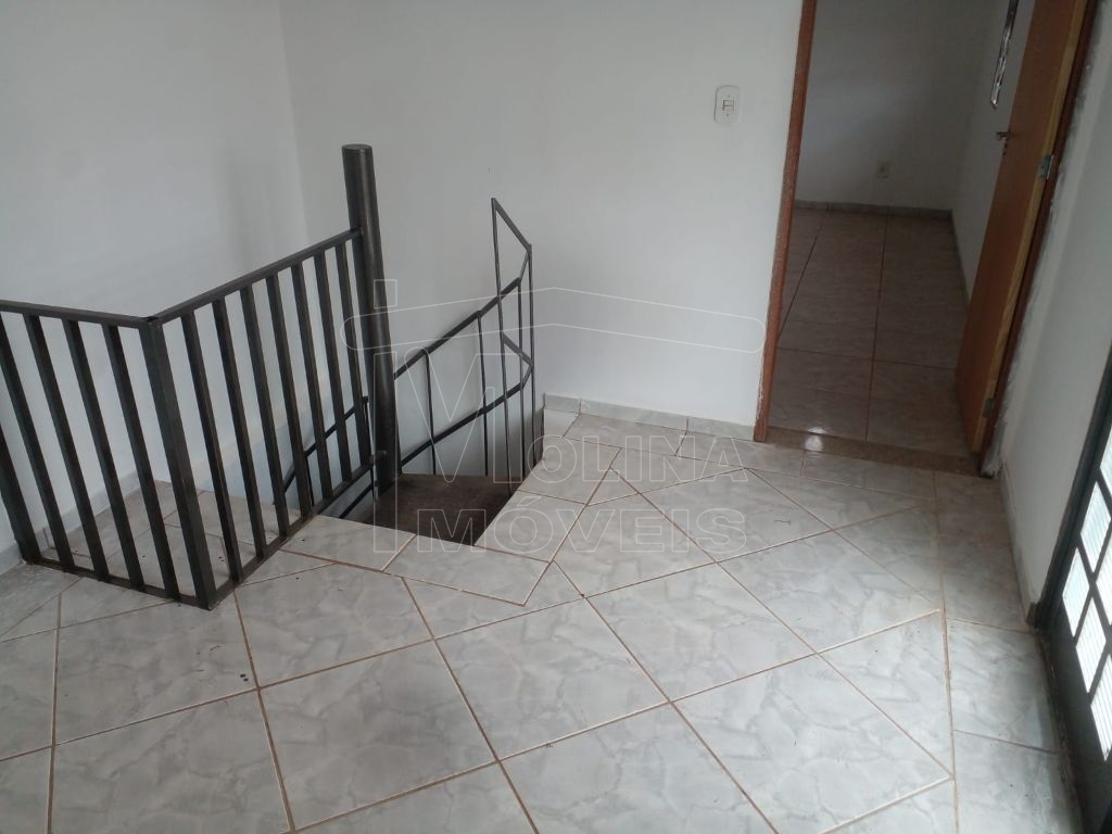 Locação de casas / edícula na cidade de araraquara