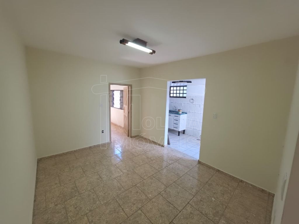 Locação de casas / padrão na cidade de araraquara