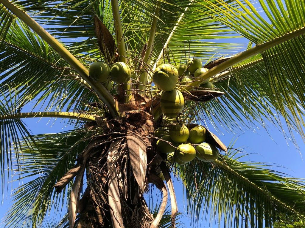 Essa é uma ótima oportunidade para quem busca luxo, seguranç