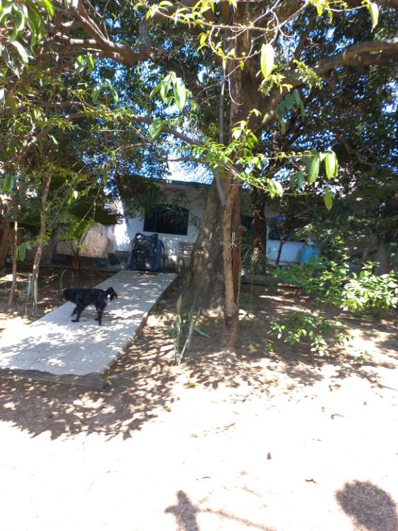 Casa, 1 quarto, 80 m² - Foto 2