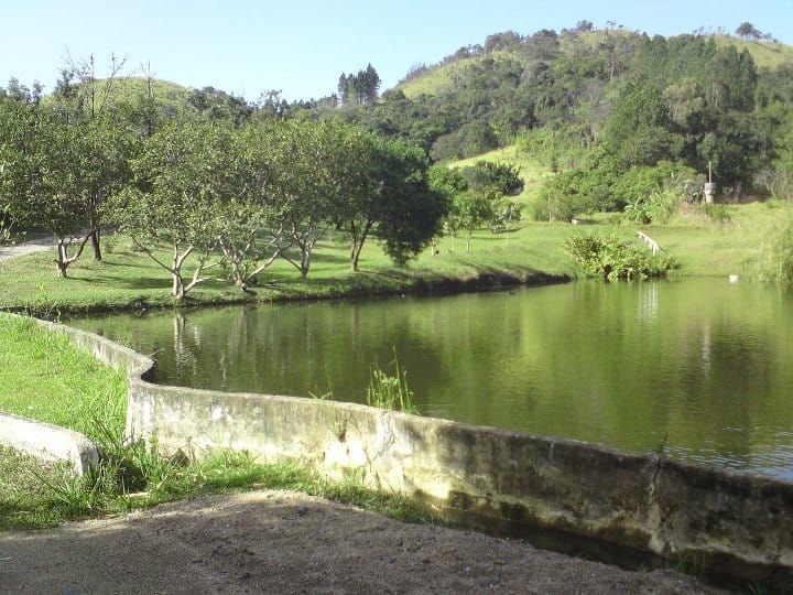 Chácara, 10 quartos, 7 hectares - Foto 5