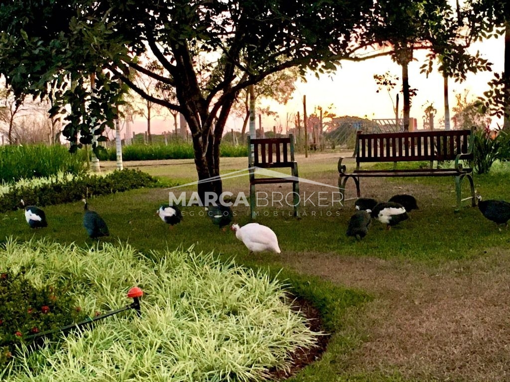 Sítio em araçatuba