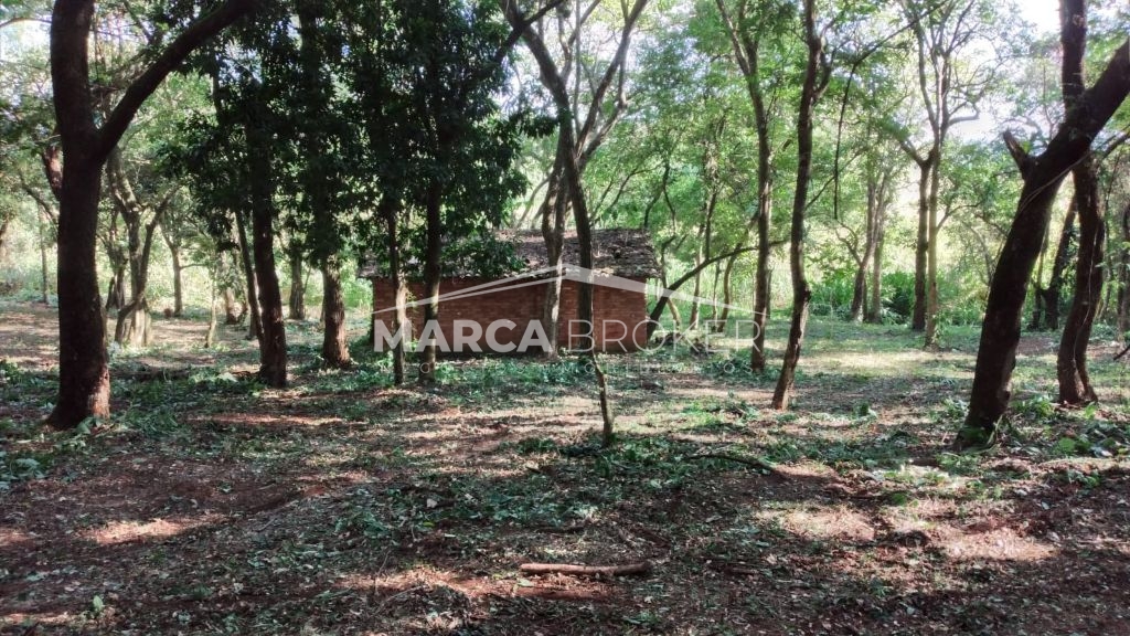 Sitio em cipó em monte santo de minas