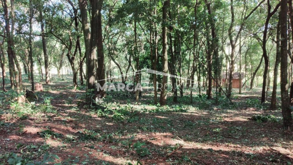 Sitio em cipó em monte santo de minas