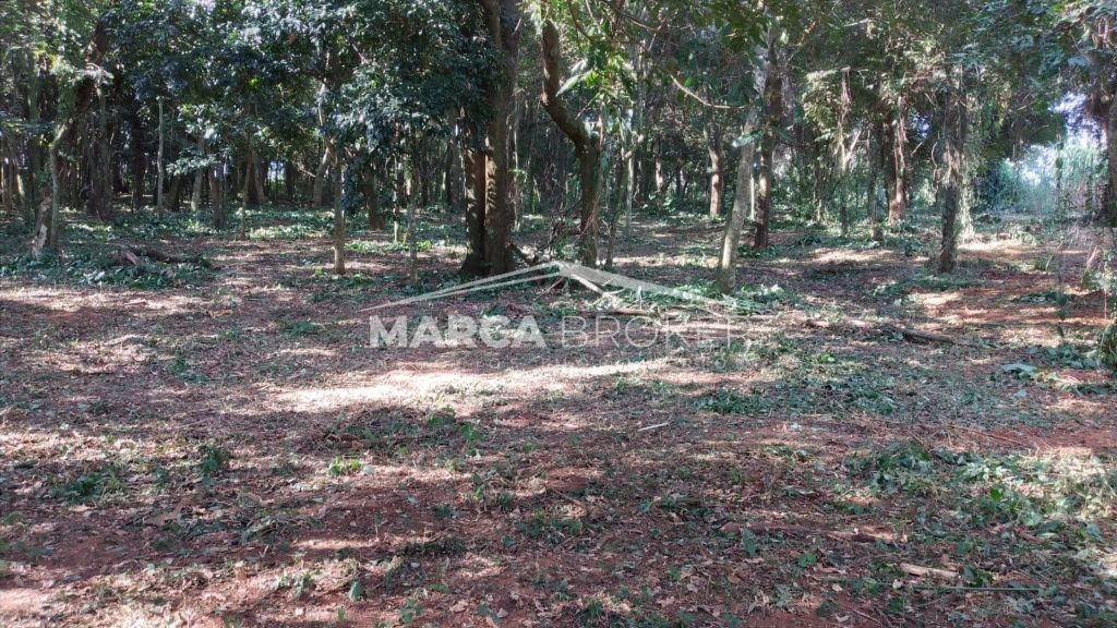 Sitio em cipó em monte santo de minas