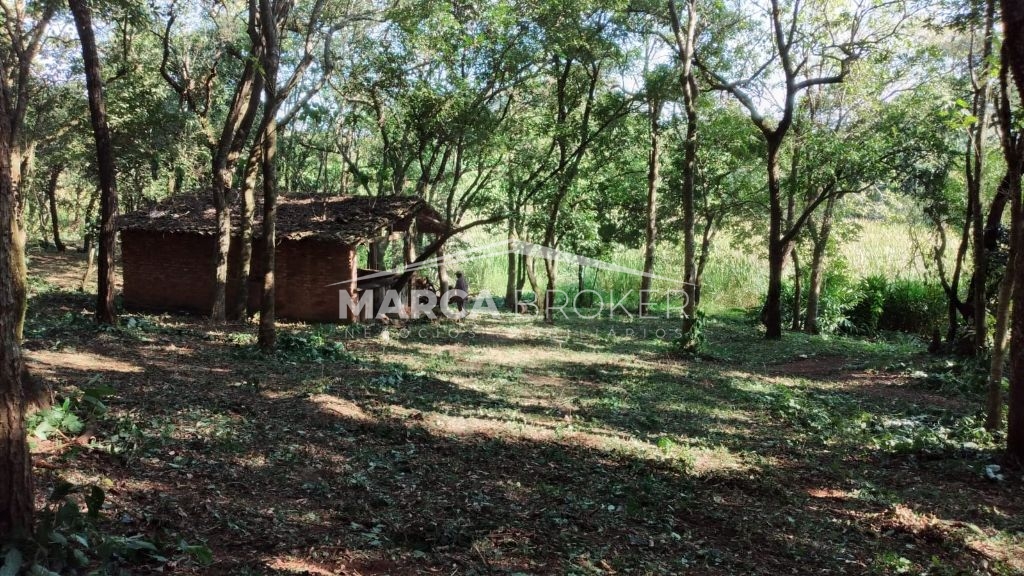 Sitio em cipó em monte santo de minas