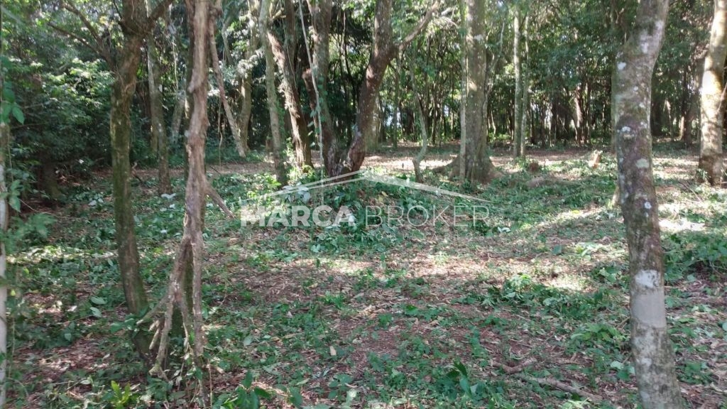 Sitio em cipó em monte santo de minas