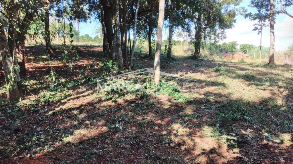 Sitio em cipó em monte santo de minas