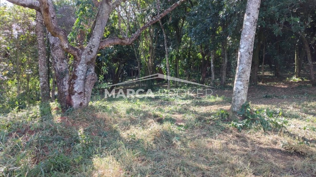 Sitio em cipó em monte santo de minas