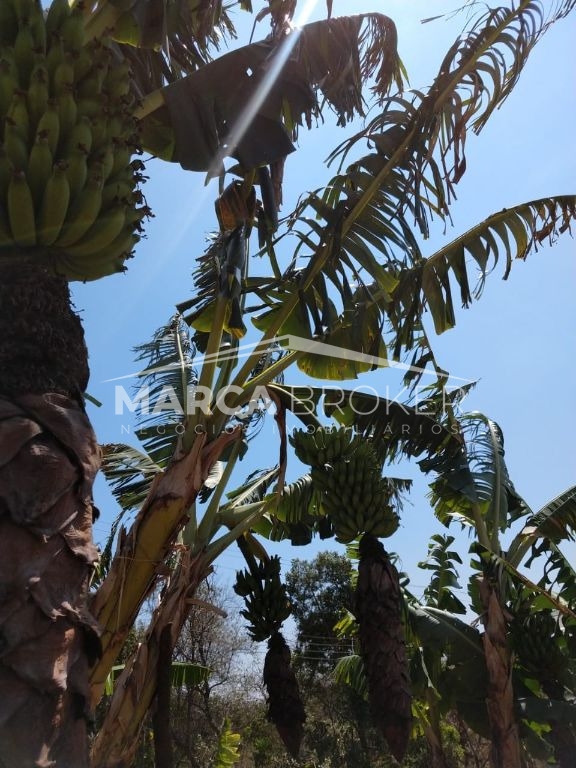Casa à venda no condomínio clube de campo valinhos em valinhos