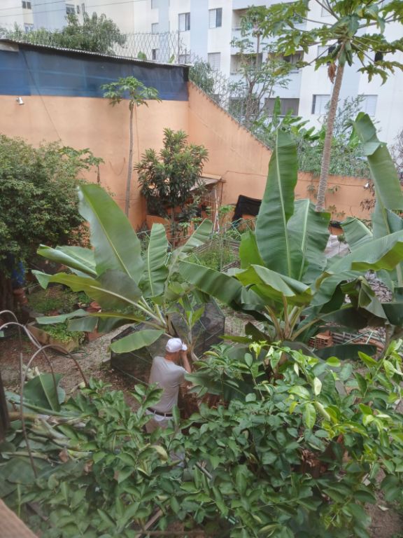 Casa, 4 quartos, 350 m² - Foto 20