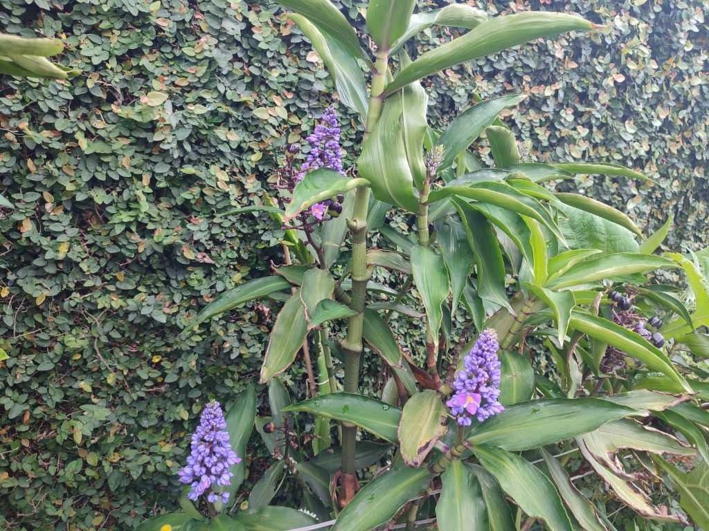 Casa, 2 quartos, 70 m² - Foto 19