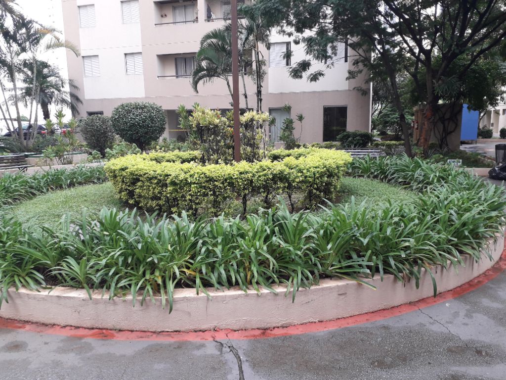 Apartamento, 3 quartos, 65 m² - Foto 39