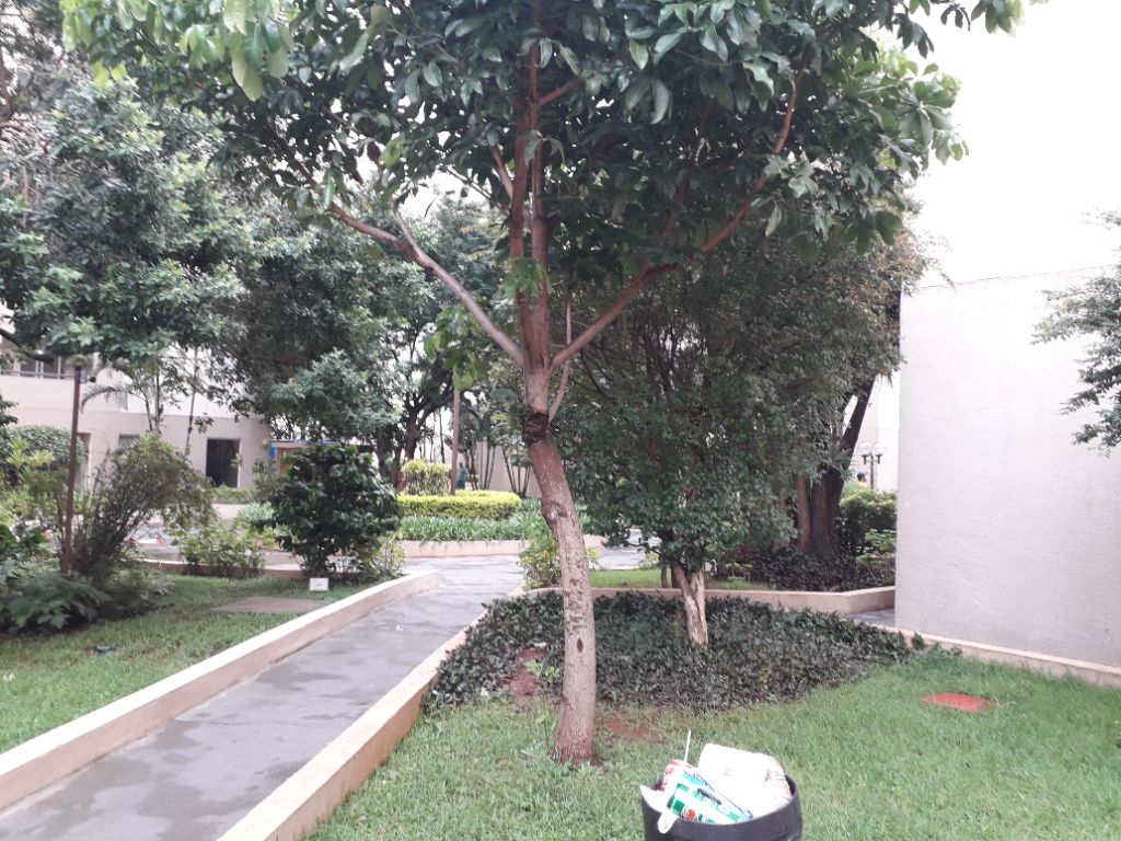 Apartamento, 3 quartos, 65 m² - Foto 38