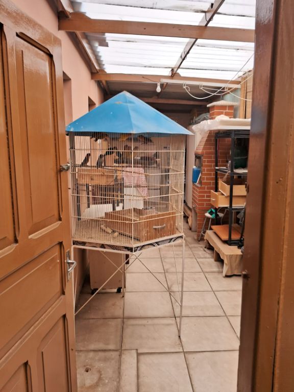 Sobrado, 5 quartos, 216 m² - Foto 25