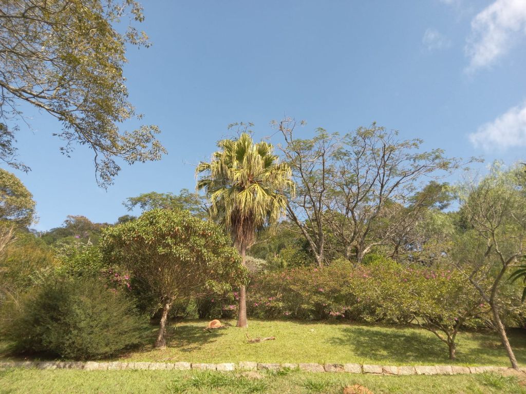 Sítio, 8 quartos, 10 hectares - Foto 34