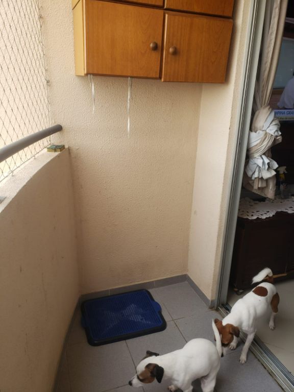 Apartamento, 3 quartos, 72 m² - Foto 33