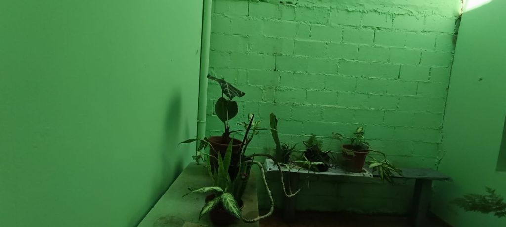 Casa, 3 quartos, 310 m² - Foto 23