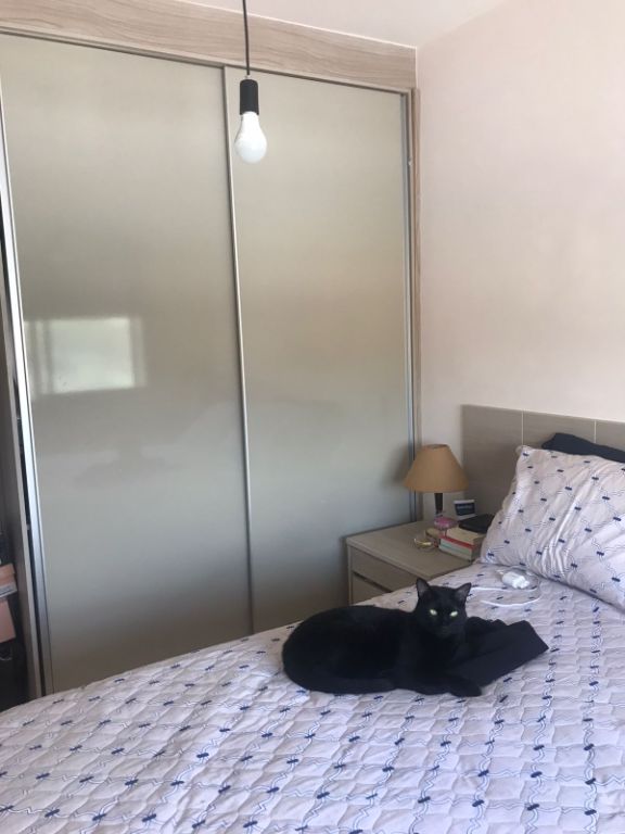 Apartamento, 2 quartos, 49 m² - Foto 6