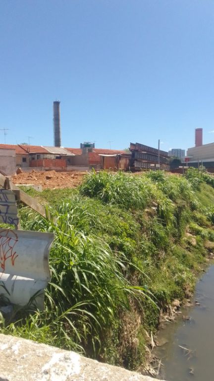 Terreno, 1900 m² - Foto 8