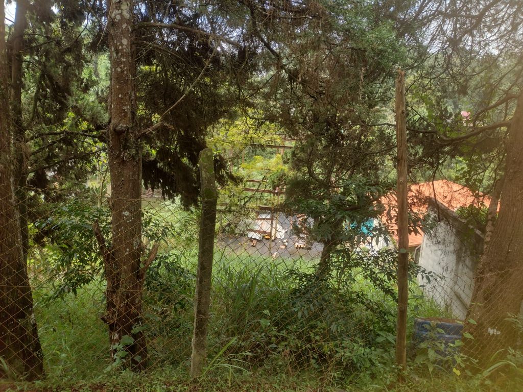 Terreno, 503 m² - Foto 14