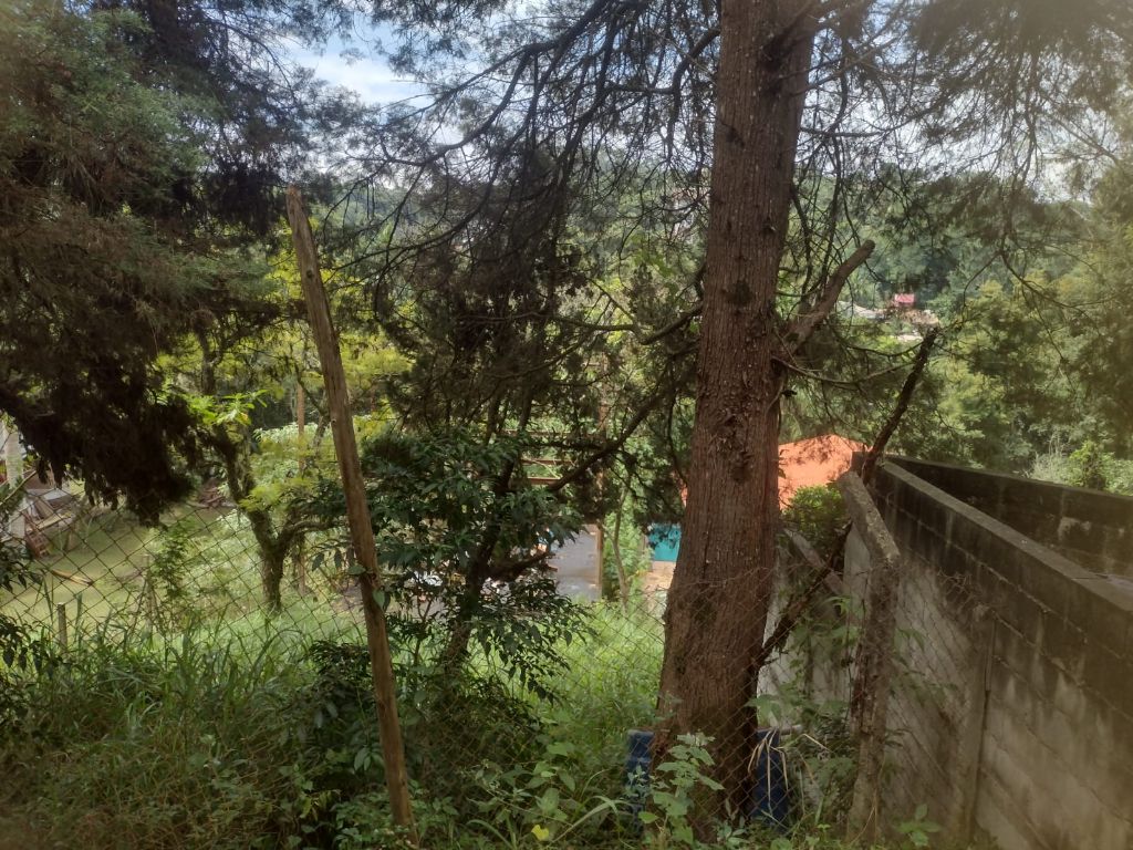 Terreno, 503 m² - Foto 19