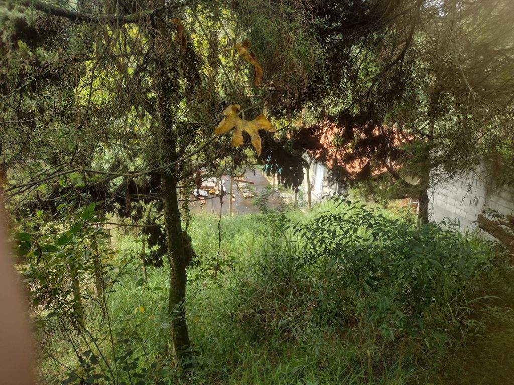 Terreno, 503 m² - Foto 15