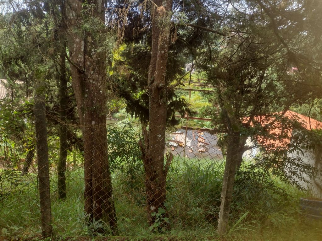 Terreno, 503 m² - Foto 16