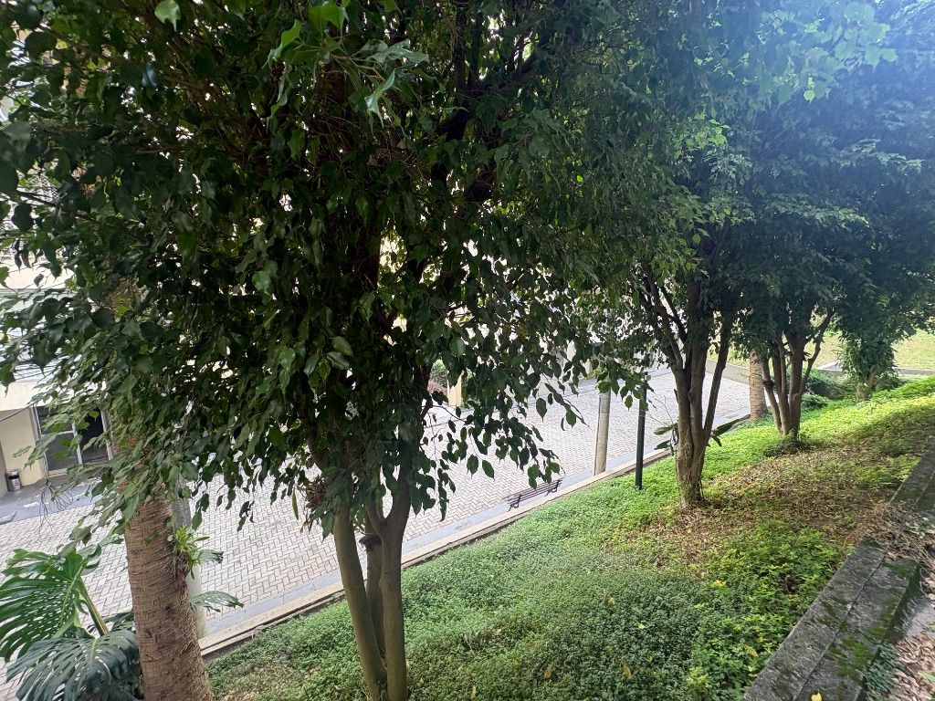 Apartamento, 3 quartos, 62 m² - Foto 19