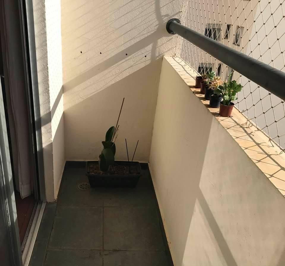 Apartamento, 3 quartos, 65 m² - Foto 3