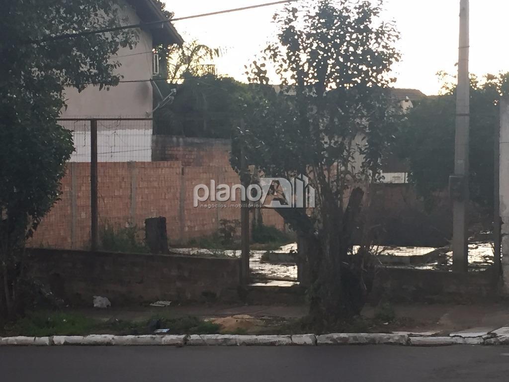 Venda de terreno / padrão na cidade de gravataí