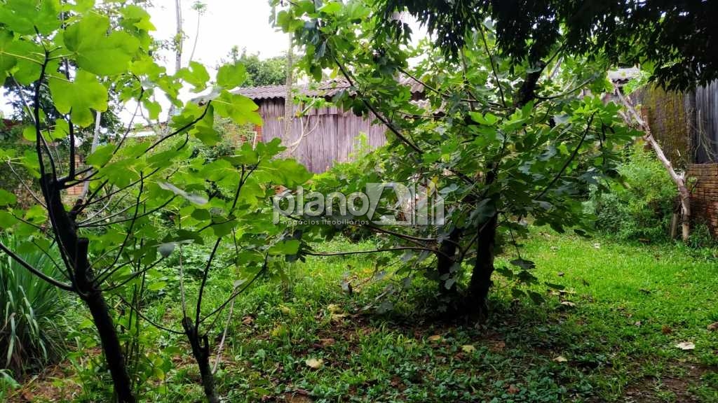 Venda de Terreno / Padrão na cidade de Gravataí