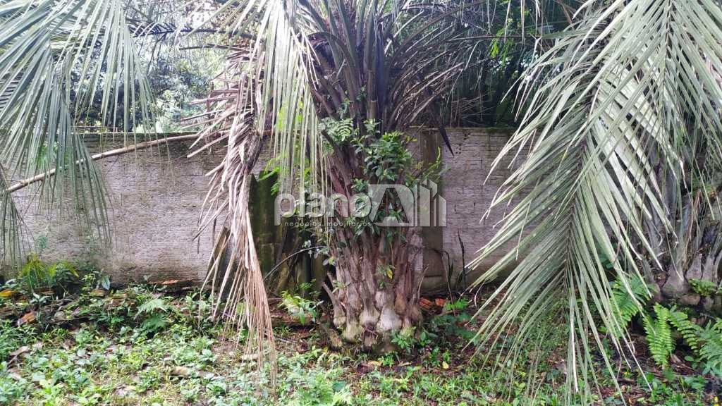 Venda de Terreno / Padrão na cidade de Gravataí