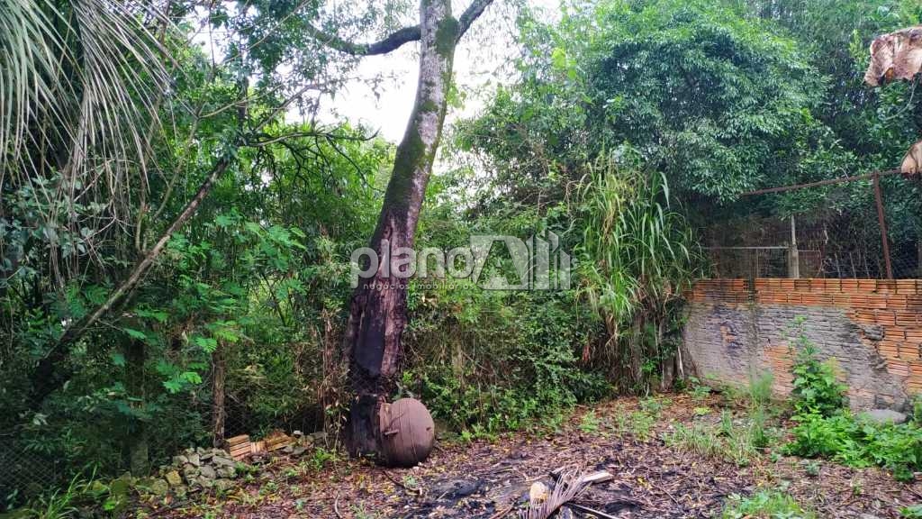 Venda de Terreno / Padrão na cidade de Gravataí