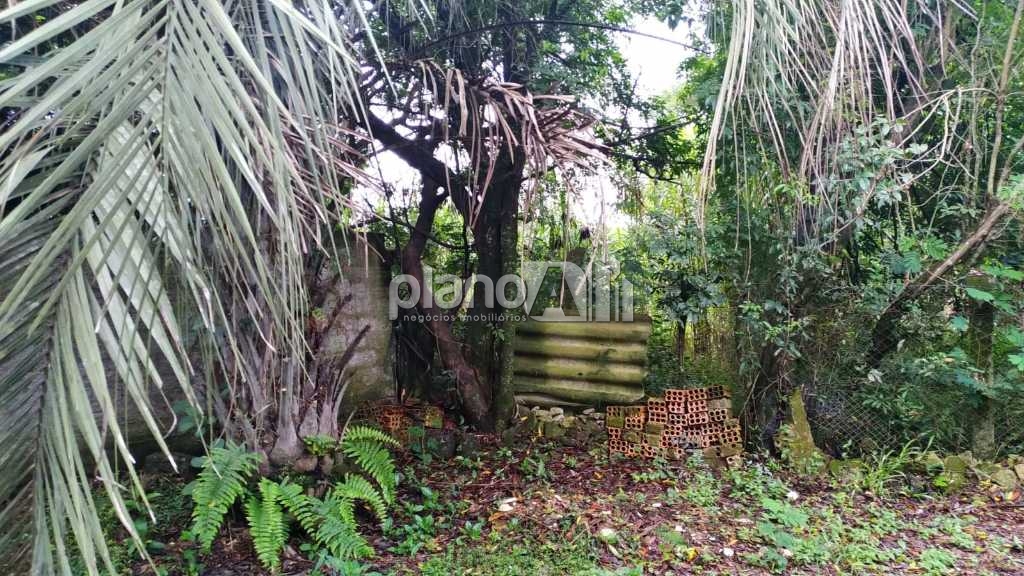 Venda de Terreno / Padrão na cidade de Gravataí